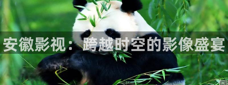 奇优影院8060：安徽影视：跨越时空的影像盛宴