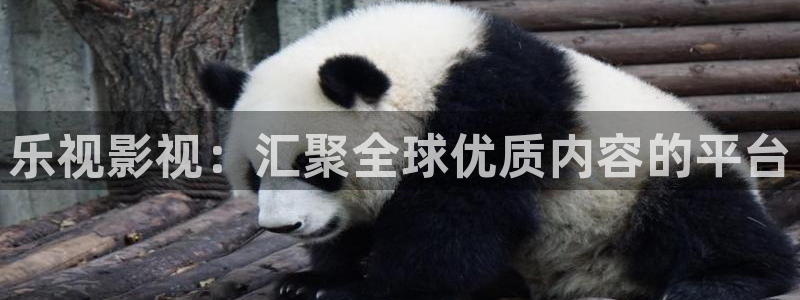 奇优电影：乐视影视：汇聚全球优质内容的平台