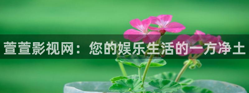 奇优手机影院在线观看：萱萱影视网：您的娱乐生活的一方净土