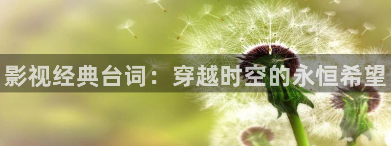 奇优神马影院：影视经典台词：穿越时空的永恒希望