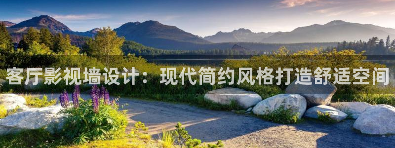 奇优影院影院app：客厅影视墙设计：现代简约风格打造舒适空间