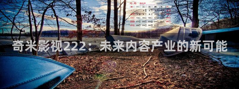 奇优影院留言板：奇米影视222：未来内容产业的新可能