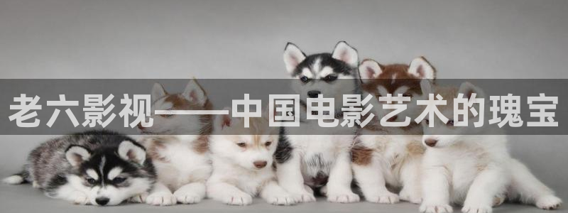 奇优影院：老六影视——中国电影艺术的瑰宝