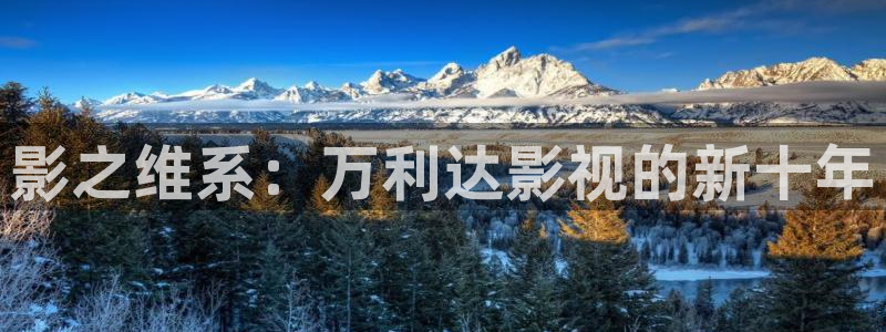 奇优影院手机版第一页：影之维系：万利达影视的新十年