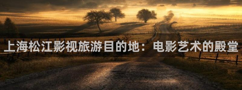 奇优影院黄金瞳手机版：上海松江影视旅游目的地：电影艺术的殿堂
