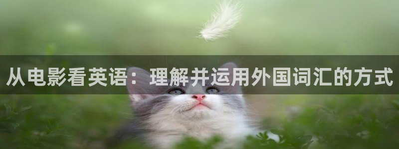 奇优影院手机版伦理片：从电影看英语：理解并运用外国词汇的方式