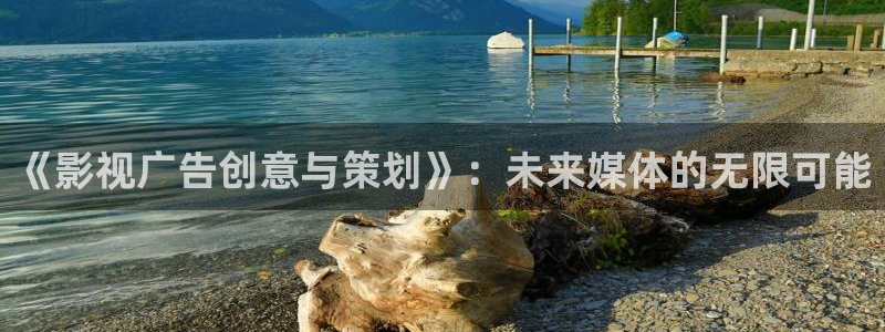 奇优手机影院在线观看：《影视广告创意与策划》：未来媒体的无限可能