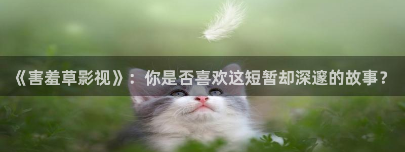 奇优影院观看网址免费：《害羞草影视》：你是否喜欢这短暂却深邃的故事？